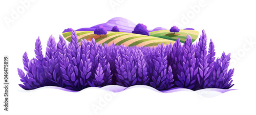 A blooming lavender field vector simple 3d smooth isolated illustration