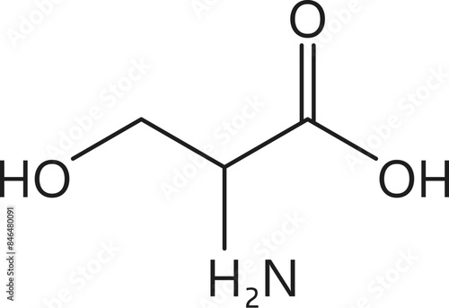 Amino acid Serine, chemical molecule structure and molecular chain formula, vector icon. Serine proteinogenic amino acid molecular structure and chain formula for medicine and biosynthesis study photo