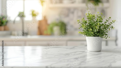 Blurred white kitchen interior with marble countertop and potted green plant on the table in front view. © EF Studio