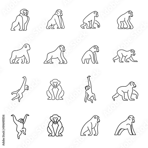 Set Chimpanzee Line Logo icon design illustration