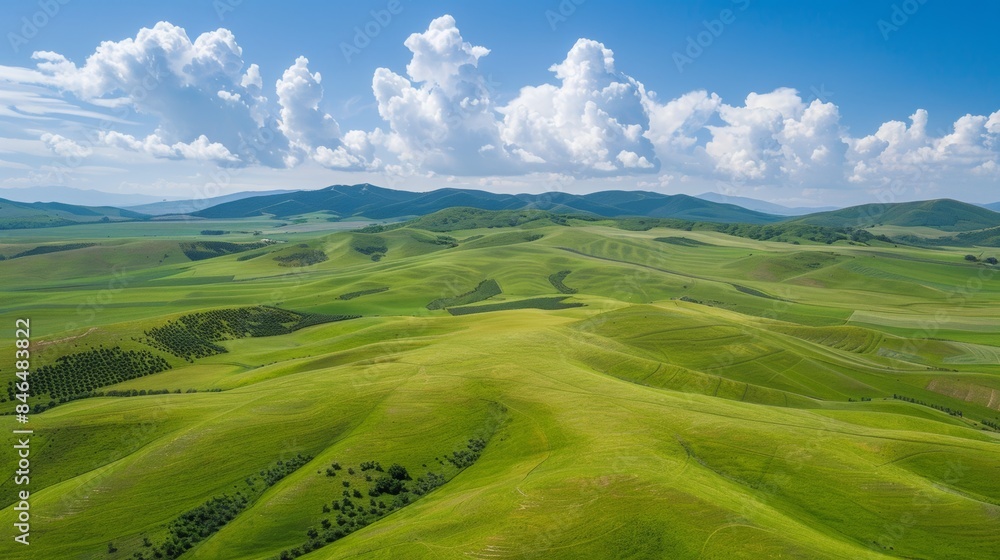 Obraz premium Vast and Green Pastures