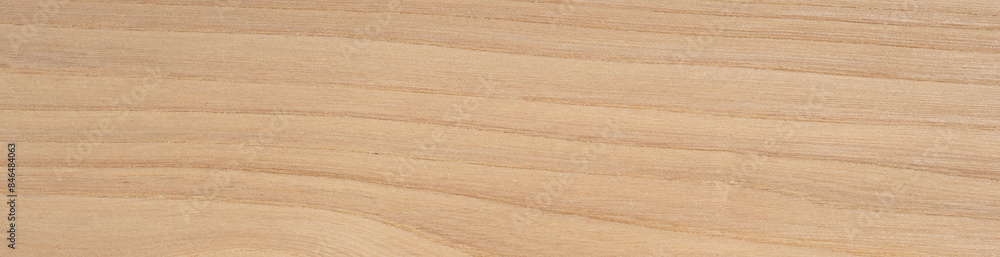 Smooth elm veneer with soft curves and natural wood knots Smooth elm veneer with soft curves and natural wood knots