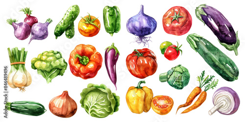 Set of watercolor mixed vegetables on a white background