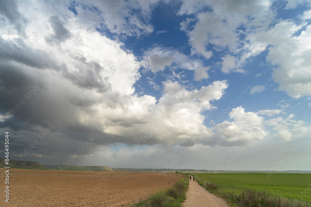 A dirt Road crossing a field in summer with green and soil fields on the sides under a blue sky A dirt Road crossing a field in summer with green and soil fields on the sides under a blue sky