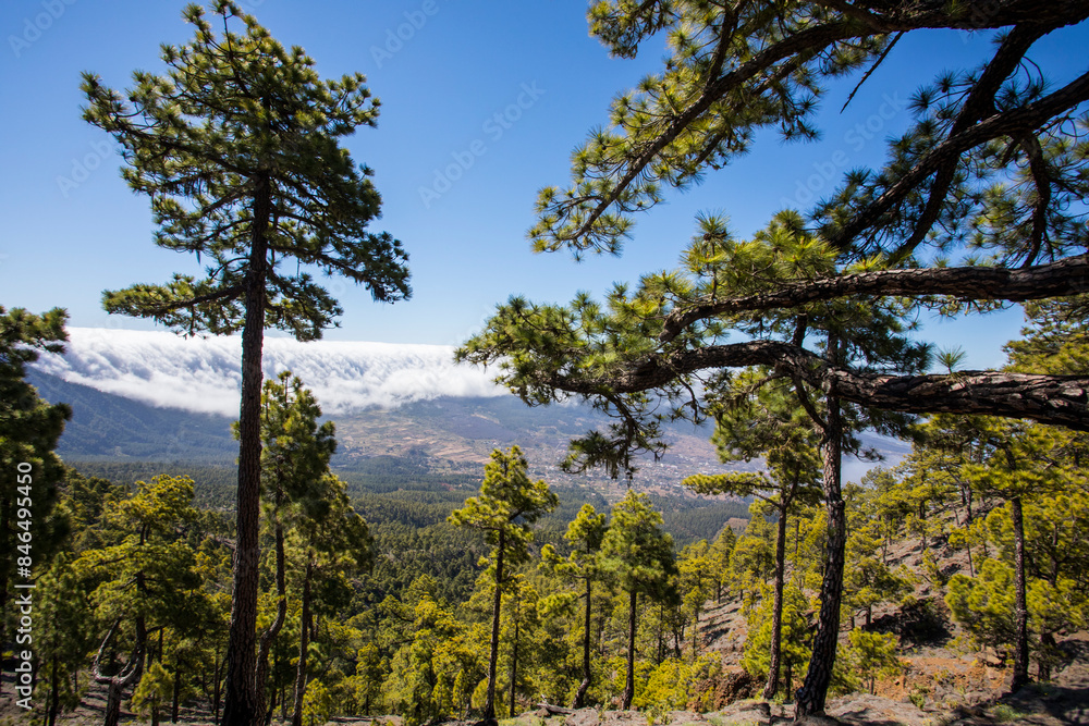 Landscape in Bejenado Peak in Caldera de Taburiente, La Palma, Spain Landscape in Bejenado Peak in Caldera de Taburiente, La Palma, Spain