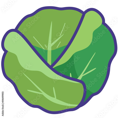 Cabbage vegetable cartoon icon vector illustration, kubis or kol, gobis or kobis, healthy green leafy vegetables