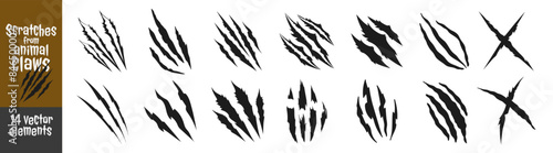 Scratch claws of animal, scratches mark set. Vector illustration of animal claw scratches isolated on transparent background