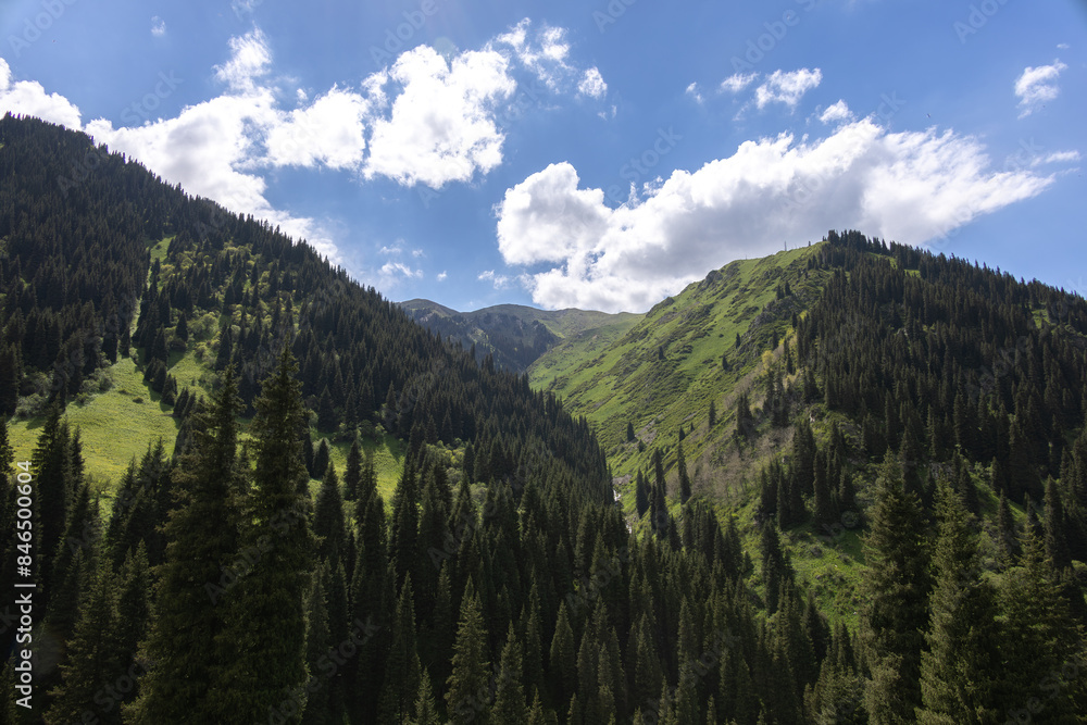 Green hills, pine forest, mountains, blue sky and cumulus clouds, Almaty, Asia, Kazakhstan Green hills, pine forest, mountains, blue sky and cumulus clouds, Almaty, Asia, Kazakhstan
