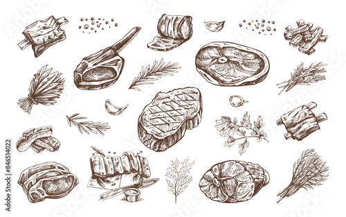 Set of hand-drawn sketches of barbecue meat pieces with herbs and seasonings. For the design of the menu of restaurants and cafes, steaks. Vintage doodle illustration. The engraved image.