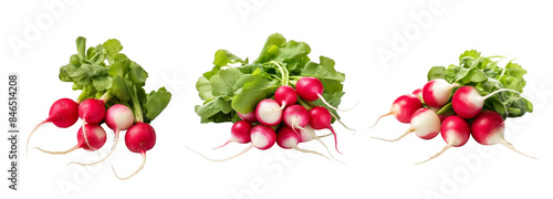 Wallpaper Mural Fresh Red Radishes with Green Leaves Isolated on Transparent Background Torontodigital.ca