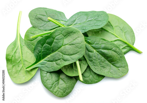 Tableau sur toile Green fresh spinach leaves isolated on white background.