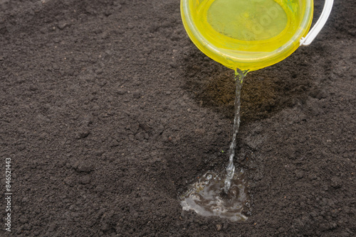 A farmer pours water from a bucket into a hole in the ground for planting seedlings