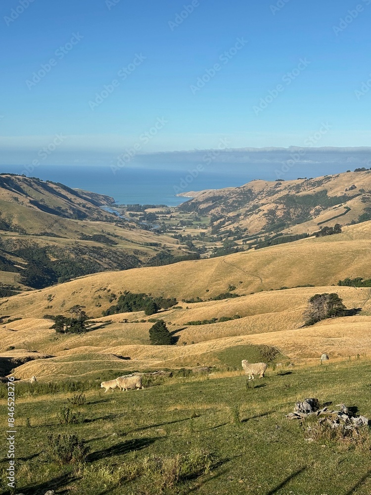 Fototapeta premium Typical landscape of New zealand