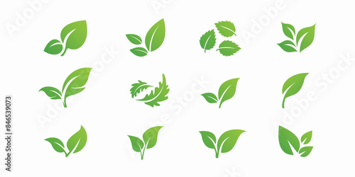 Green leaf ecology icons set