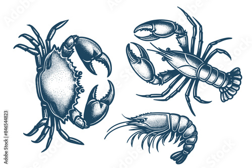 Crab, Lobster, shrimp set. Seafood. Crustaceans. Vintage blue engraving illustration, emblem, logo, isolated object. hand drawn