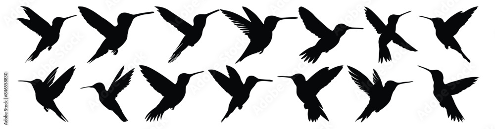 Obraz premium Hummingbird silhouette set vector design big pack of illustration and icon