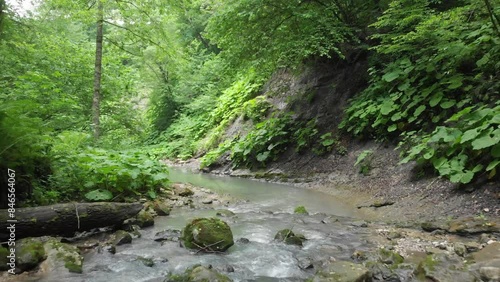Caucasus, North Ossetia. Stream in the foothill forest. photo