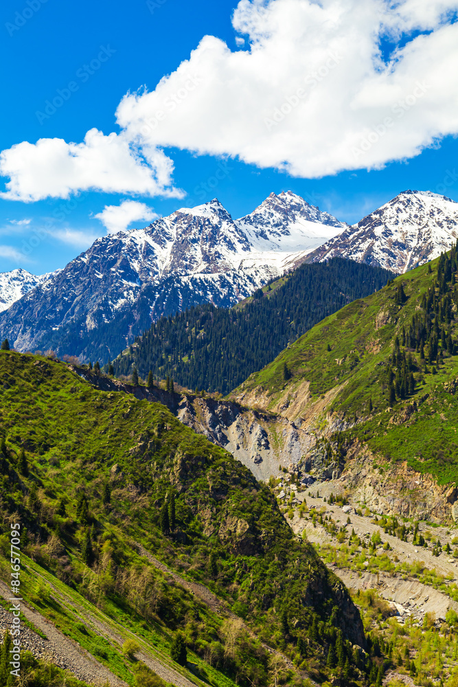View of the Ile Alatau mountains in the national natural park on a bright sunny day. View of the Ile Alatau mountains in the national natural park on a bright sunny day.