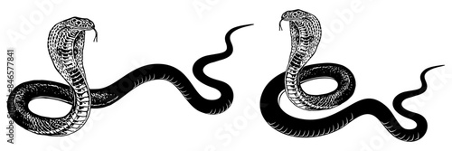 snake silhouette vector 