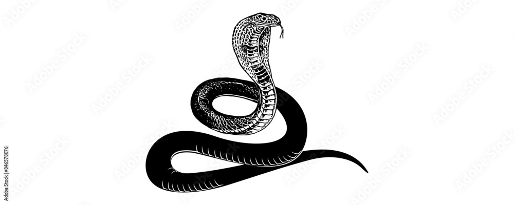 Fototapeta premium snake silhouette vector 