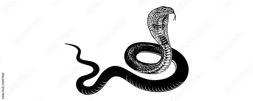 snake silhouette vector 