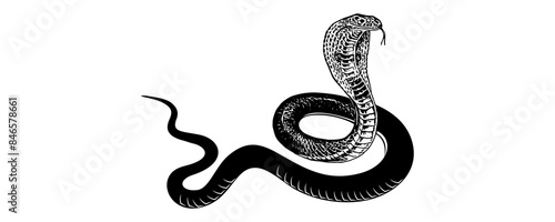 snake silhouette vector 