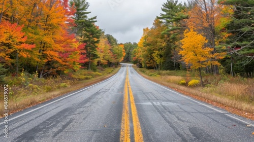 On each side of the highway the trees are ablaze with the fiery oranges yellows and reds of autumn. The road itself is lined with . AI generation.