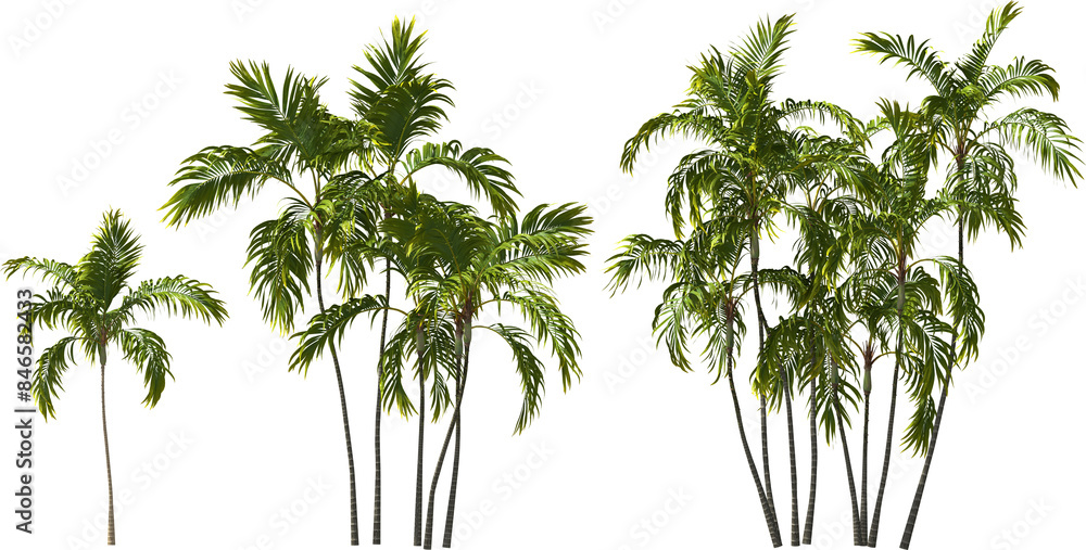fire palm trees hq arch viz cutout plants