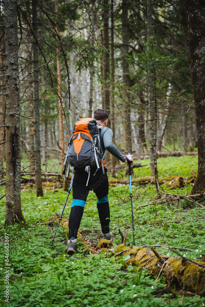 A man equipped with trekking poles and a backpack is hiking in the serene and peaceful forest, exploring the wilderness and enjoying an outdoor adventure in nature A man equipped with trekking poles and a backpack is hiking in the serene and peaceful forest, exploring the wilderness and enjoying an outdoor adventure in nature