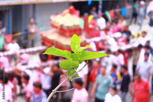 Jatra in Nepal, Kathmandu, Naulin Bhadrakali photo