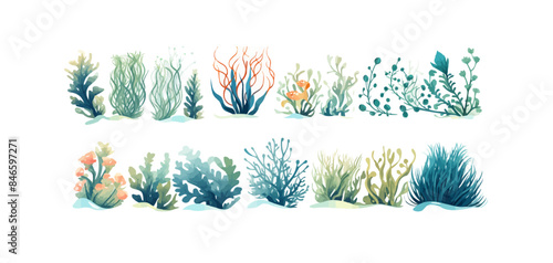 Ocean plants marine foliage vector set