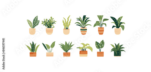plants in flowerpots, indoor plants in flat style vector -