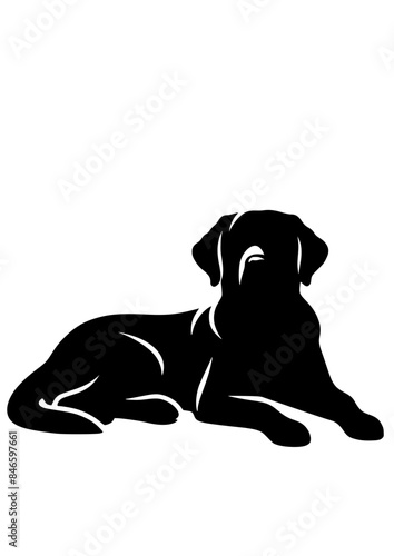 Golden Retriever SVG, Dog SVG, Dog Breed SVG, Labrador SVG, Puppy SVG, Dog Face, Dog Head, Dog Silhouette, Golden Retriever Silhouette, Dog Clipart, Dog Cricut, SVG, JPG, PNG