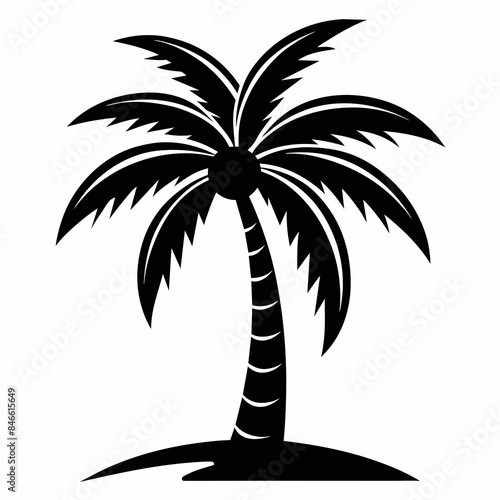 minimalistic coconut tree  vector silhouette 