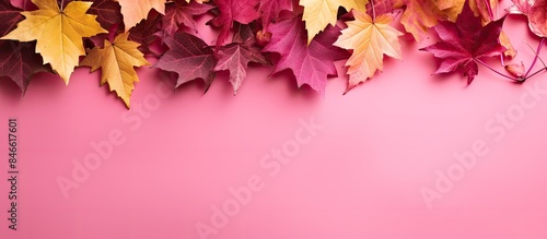 An array of colorful fall f...
