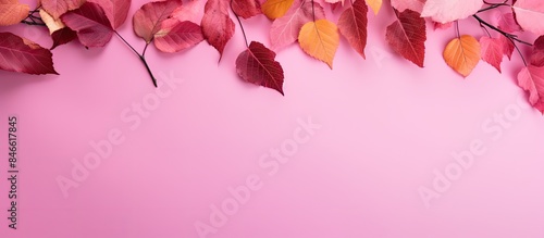 An array of colorful fall f...
