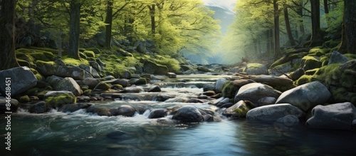 Beautiful spring stream flowing through a mountain forest landscape with river rocks, providing a tranquil scene with copy space image opportunity.