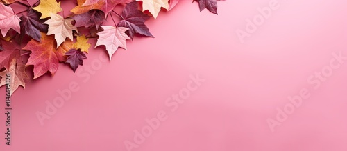 An array of colorful fall f...