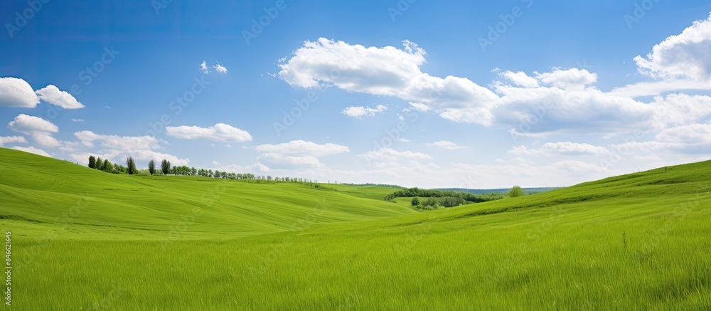 Scenic summer meadow in hilly area on sunny day, filled with lush green grass, in a picturesque copy space image. Scenic summer meadow in hilly area on sunny day, filled with lush green grass, in a picturesque copy space image.