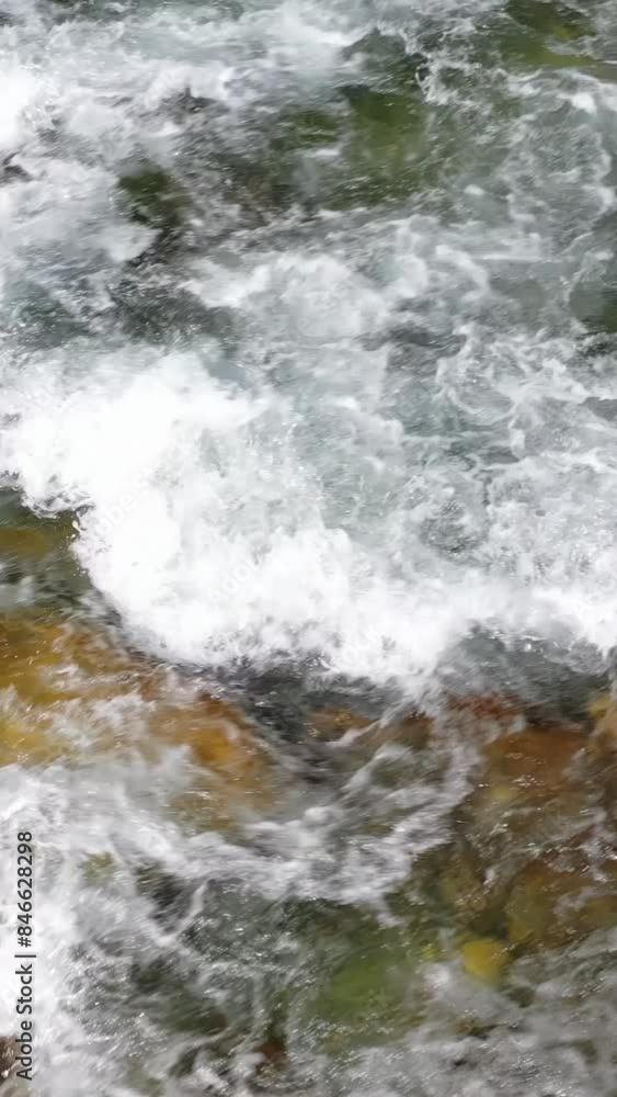 Vertical Aerial drone video of Altai river Kumir. Camera moves over water at a low altitude. Vertical Aerial drone video of Altai river Kumir. Camera moves over water at a low altitude.