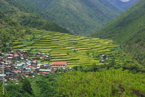 bay-yo terraces on bontoc mountain province philippines