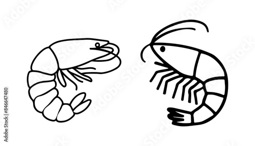 silhouette of shrimp isolated on white background, shrimp vector set