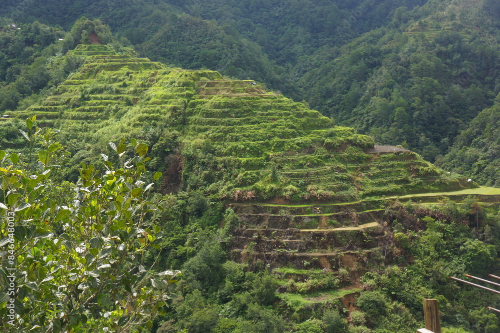 Fototapeta premium banaue terraces in the philippines 07 june 2024 2