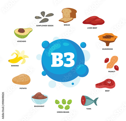 Set of vitamin B3 source dietetic organic nutrition products, Organic nutrition, food containing bread, liver, beef, mushroom, peanut, tuna, beans, buckwheat, potato, banana, avocado, sunflower seeds