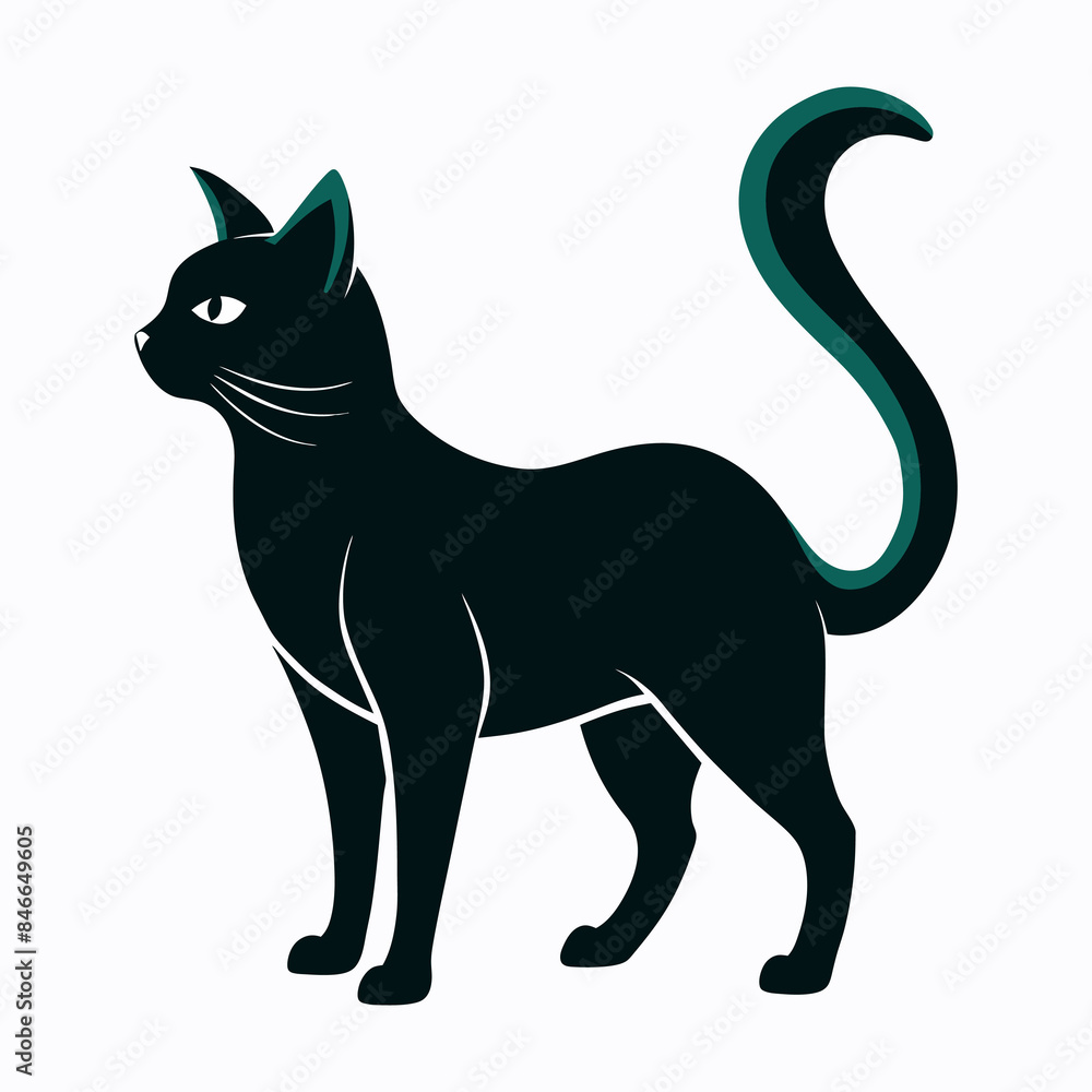 a black cat with a white background a black cat with a white background