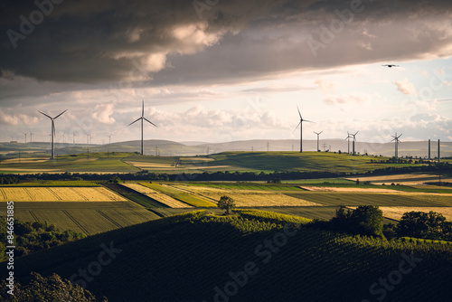 Römischer Begräbnisplatz Greifenberg bei Sulzheim, Juni 2024