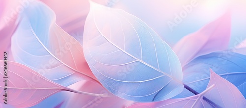 Soft-focused pastel image f...