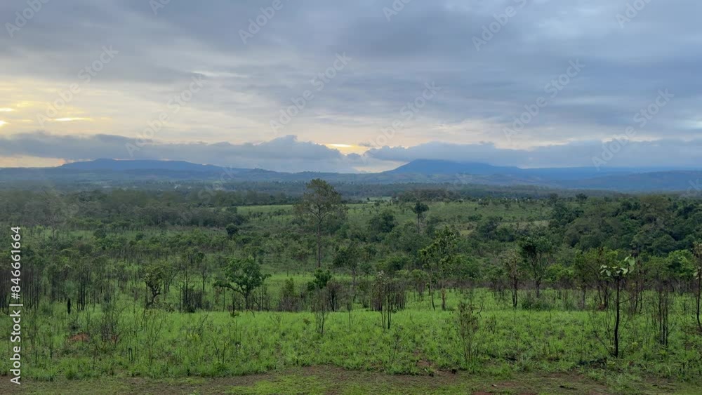 Gray clouds and green forest in rainy season. Gray clouds and green forest in rainy season.