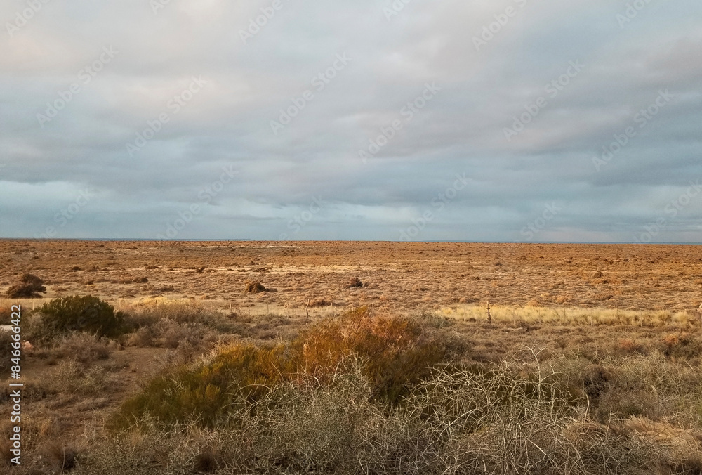 Fototapeta premium typical landscape in Pensinsula de Valdés, Argentina