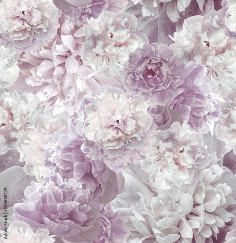 Fototapeta Naklejka Na Ścianę i Meble -  Seamless floral  background. Flowers peonies and petals peonies. Close up.